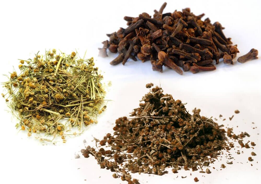 Piołun, wrotycz pospolity i goździki, aby pozbyć się pasożytów